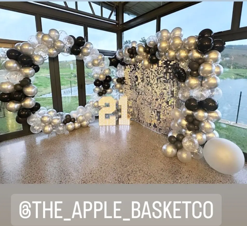kids party business